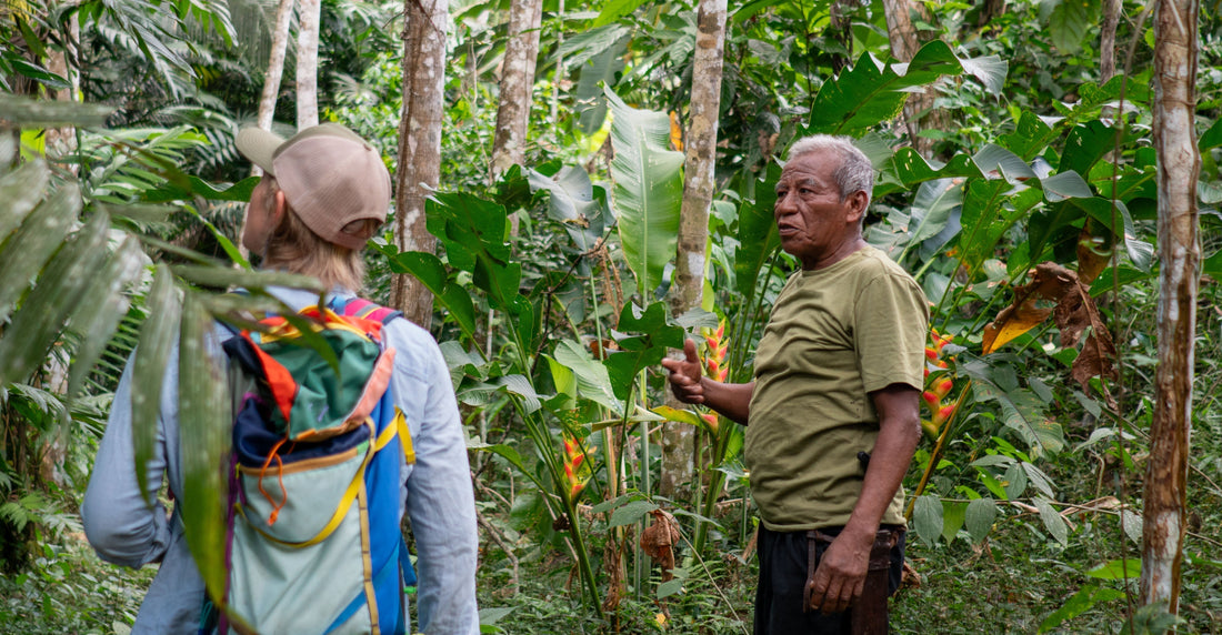 Sourcing Cacao: Finding Beans We Love
