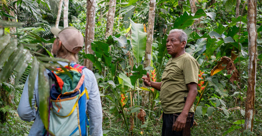 Sourcing Cacao: Finding Beans We Love