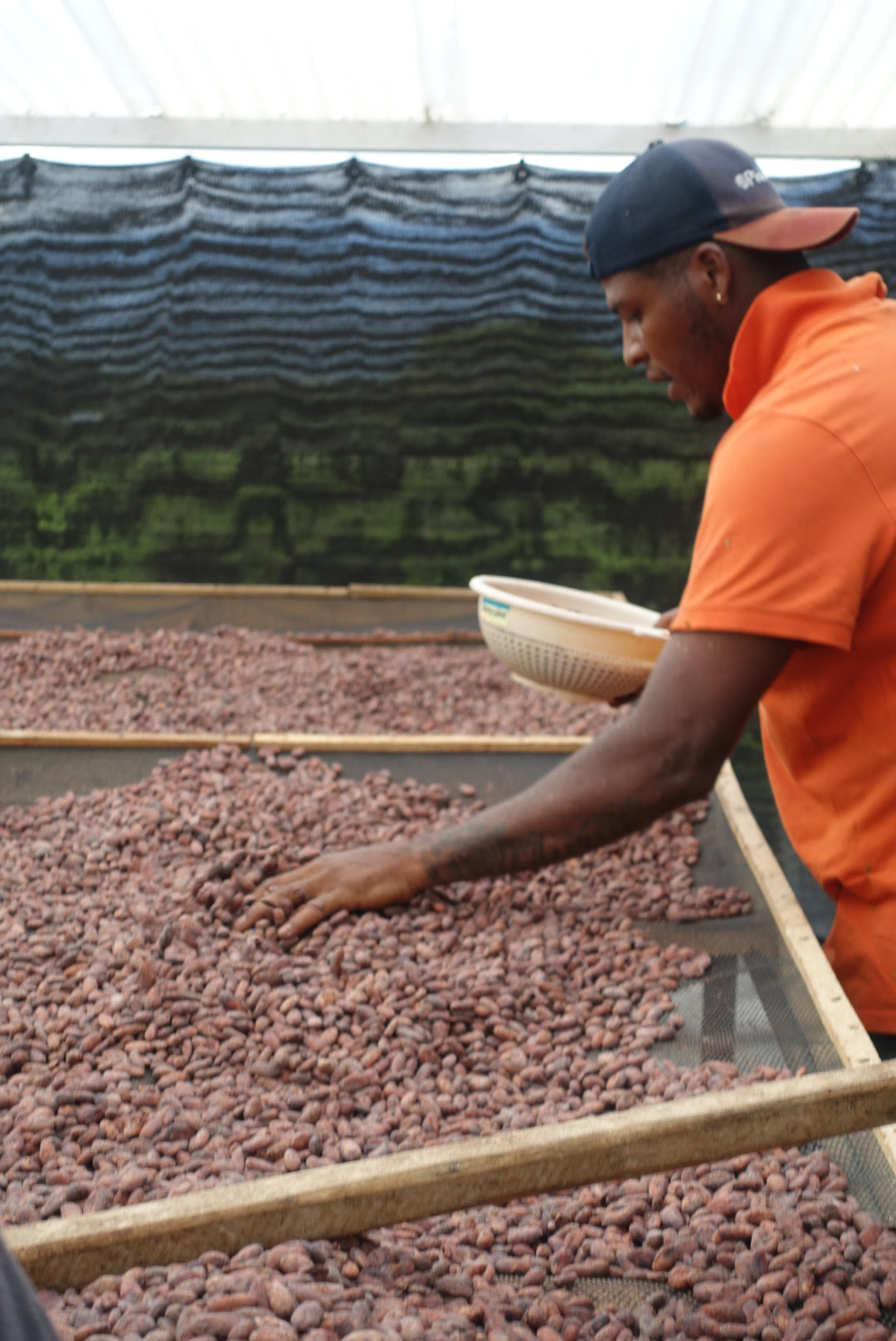 Huila, Colombia 72%