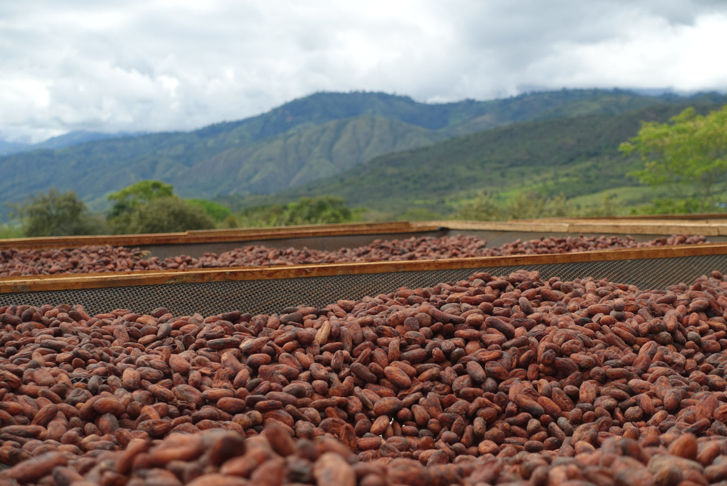 Huila, Colombia 72%